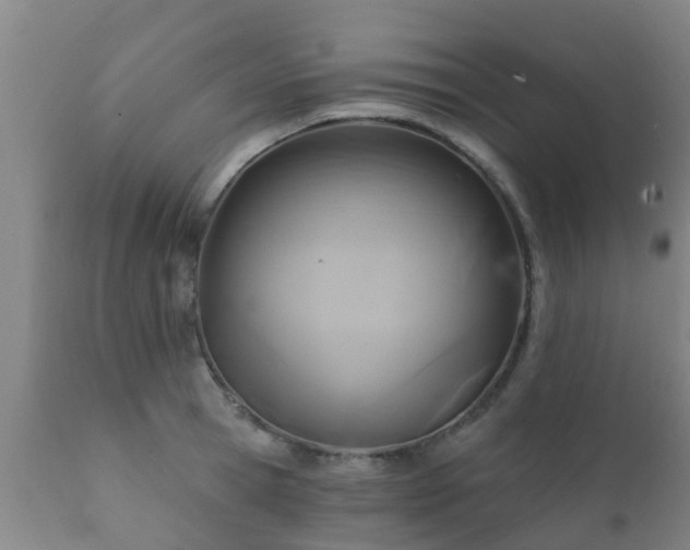 X0000112420945200908211142