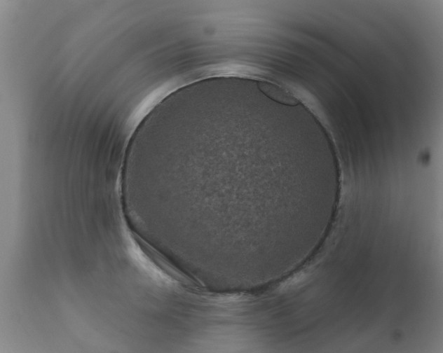 X0000112420946200908211143