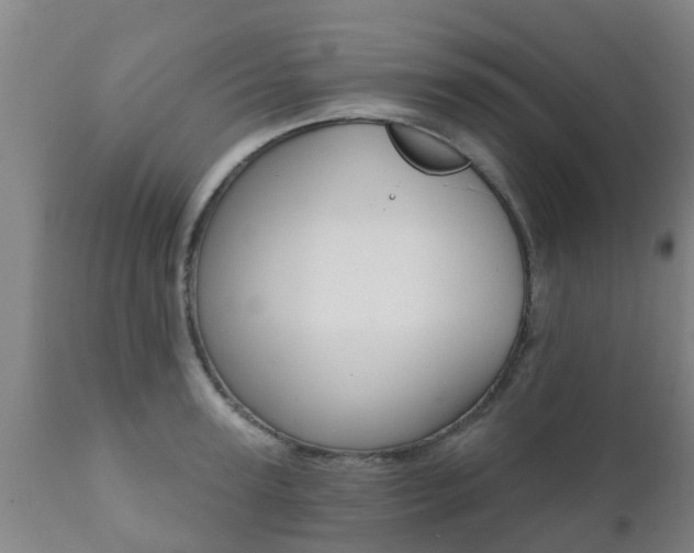 X0000112420947200908211143