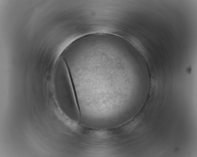 X0000112420948200908211143