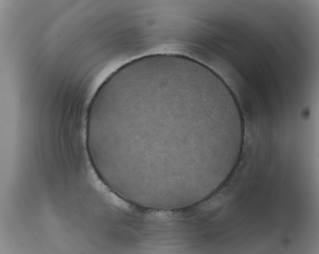 X0000112420950200908211143