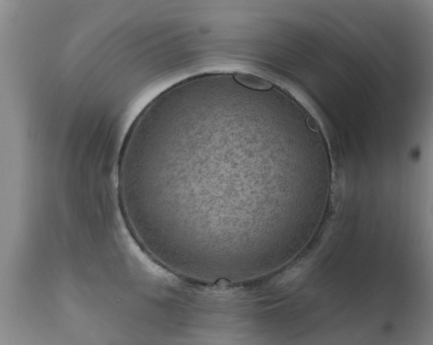 X0000112420951200908211143