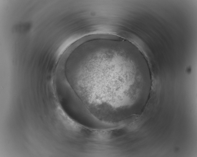 X0000112420952200908211143