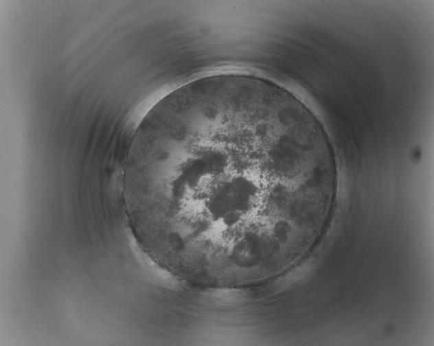 X0000112420953200908211143