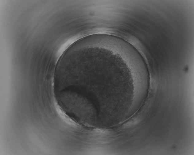 X0000112420954200908211143