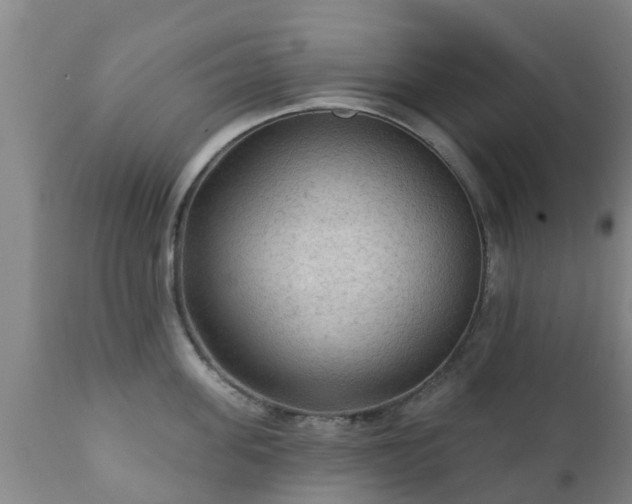 X0000112420955200908211143