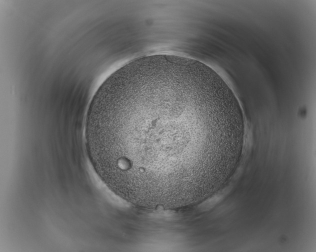 X0000112420957200908211143