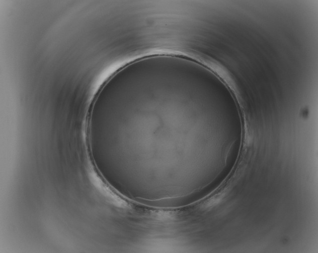 X0000112420958200908211143