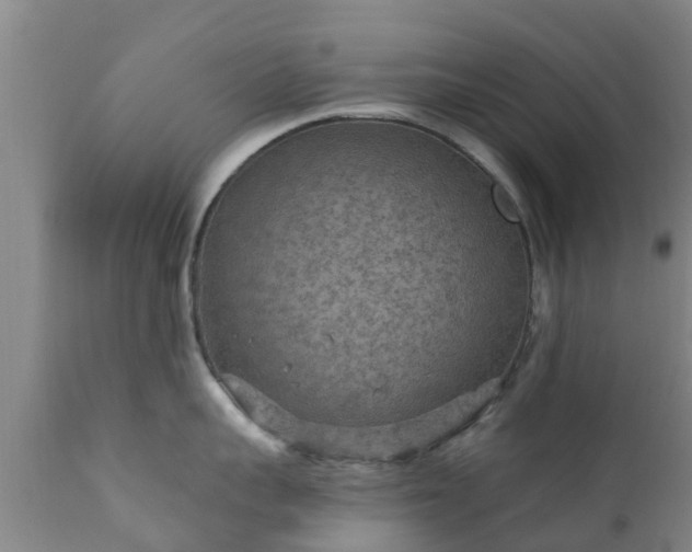 X0000112420959200908211143