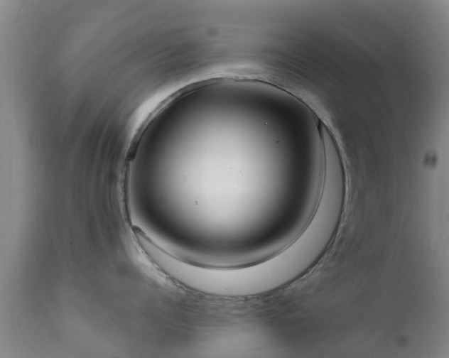 X0000112420960200908211143