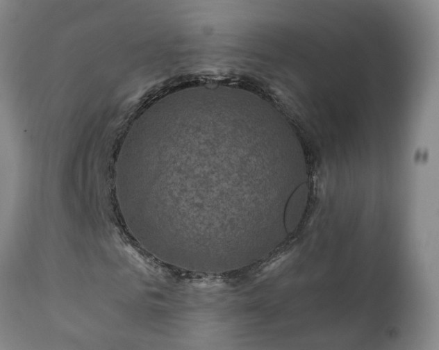 X0000112420961200908211142