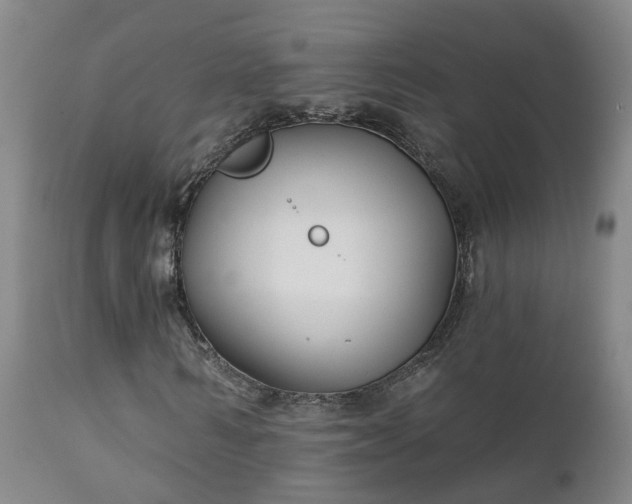 X0000112420962200908211142