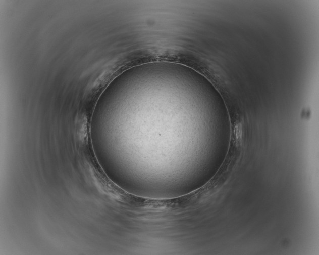 X0000112420963200908211142