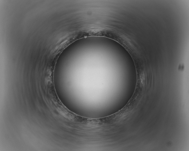 X0000112420964200908211142