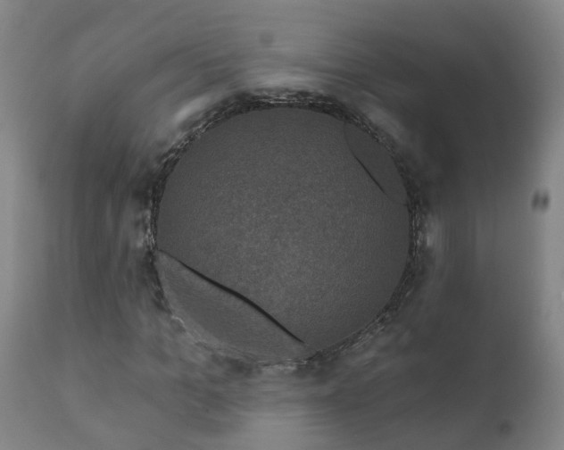 X0000112420965200908211142