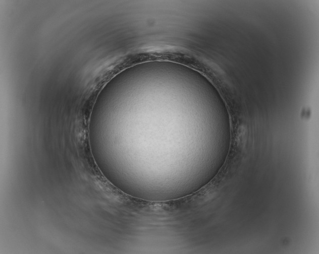 X0000112420966200908211142