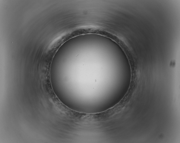 X0000112420967200908211142