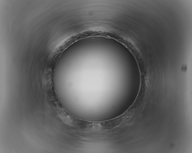 X0000112420968200908211142