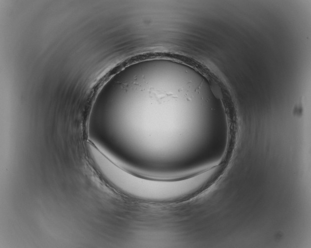 X0000112420969200908211142