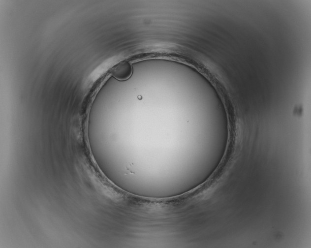 X0000112420970200908211142