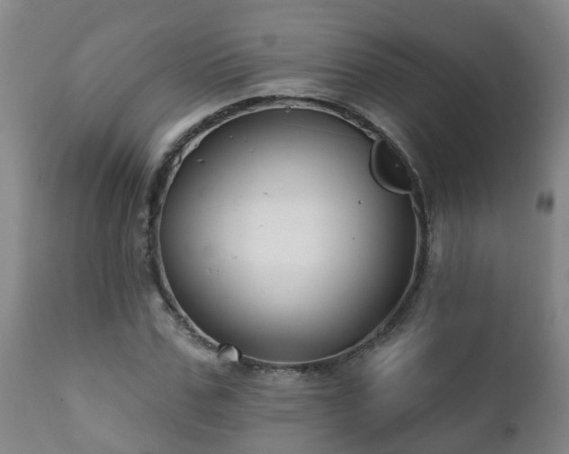 X0000112420971200908211142