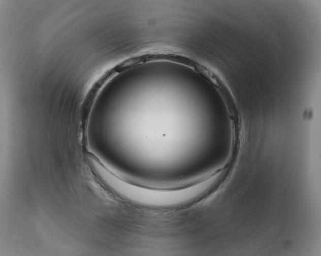 X0000112420973200908211142