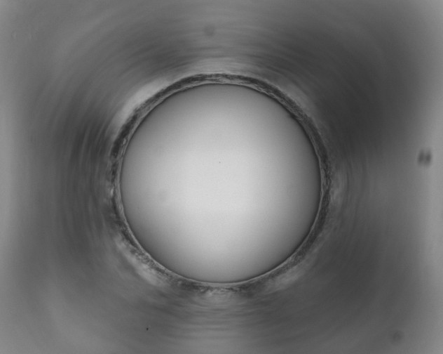 X0000112420974200908211142