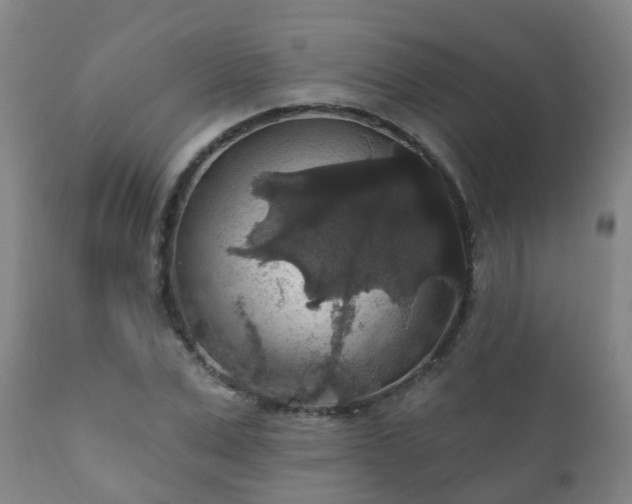 X0000112420975200908211142