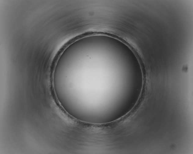 X0000112420976200908211142