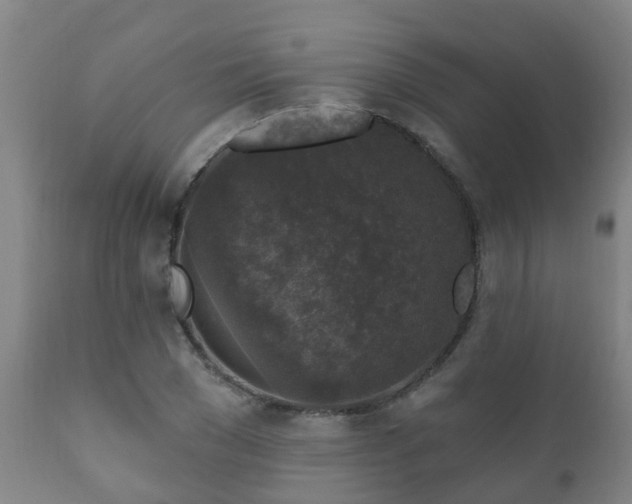 X0000112420977200908211142