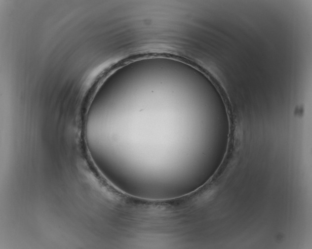 X0000112420979200908211142