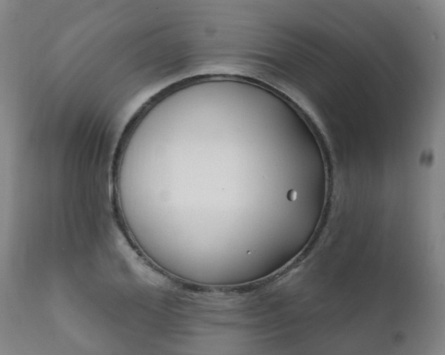 X0000112420980200908211142