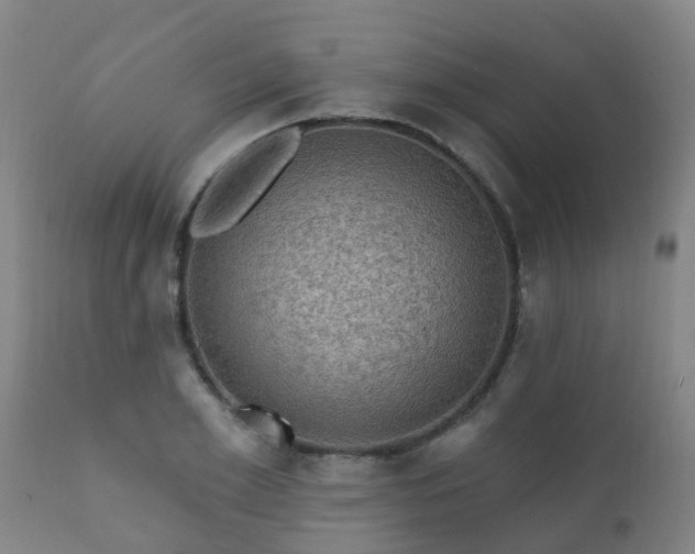 X0000112420981200908211142