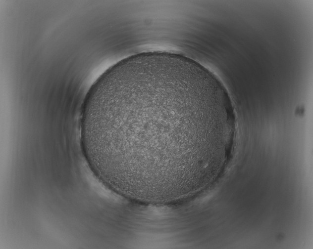 X0000112420983200908211142