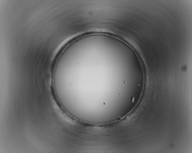 X0000112420984200908211142