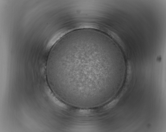 X0000112420985200908211142