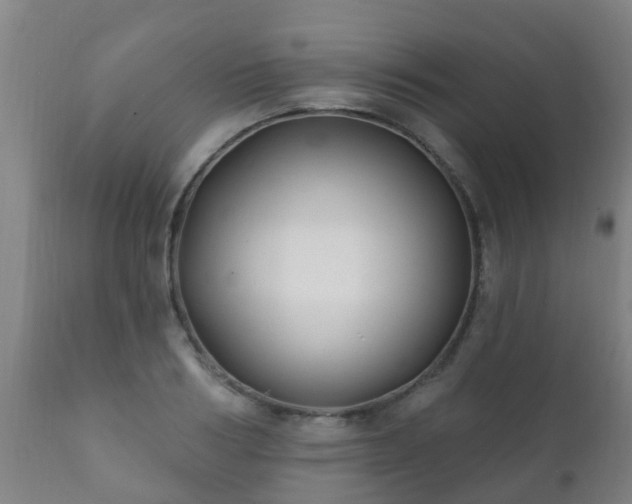 X0000112420986200908211142