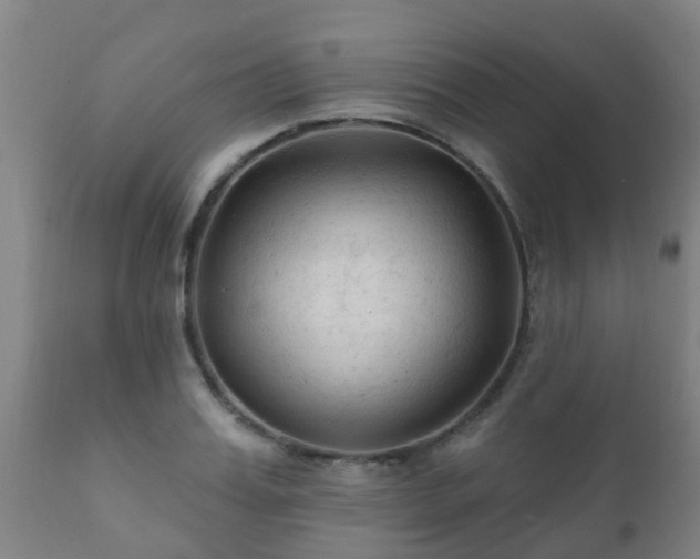 X0000112420987200908211142