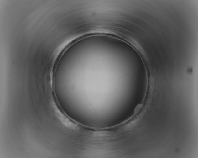 X0000112420988200908211141