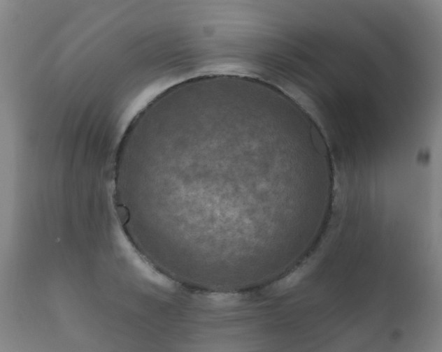 X0000112420989200908211141