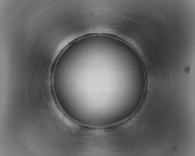 X0000112420990200908211141