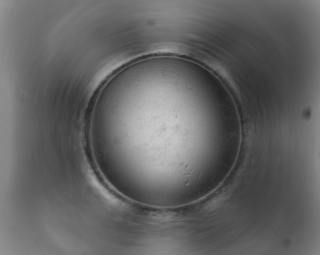 X0000112420991200908211141