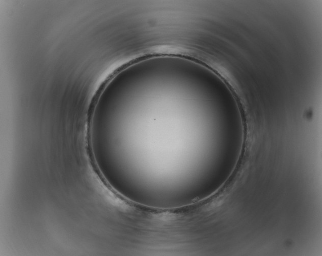 X0000112420992200908211141