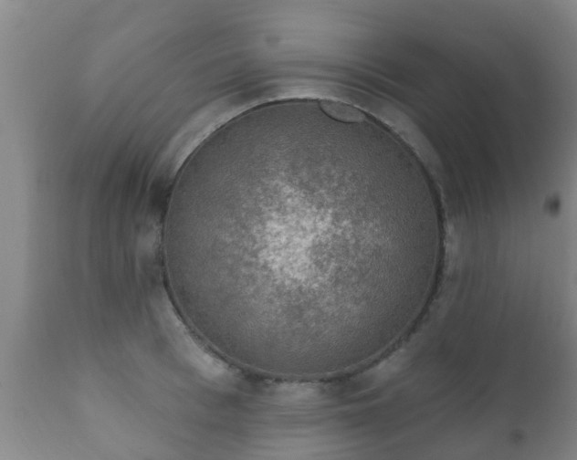 X0000112420993200908211141