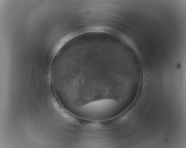 X0000112420994200908211141