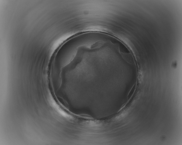 X0000112420995200908211141