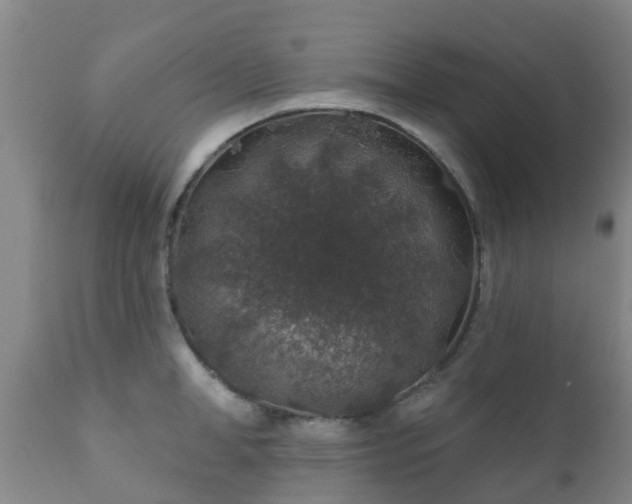 X0000112420998200908211141