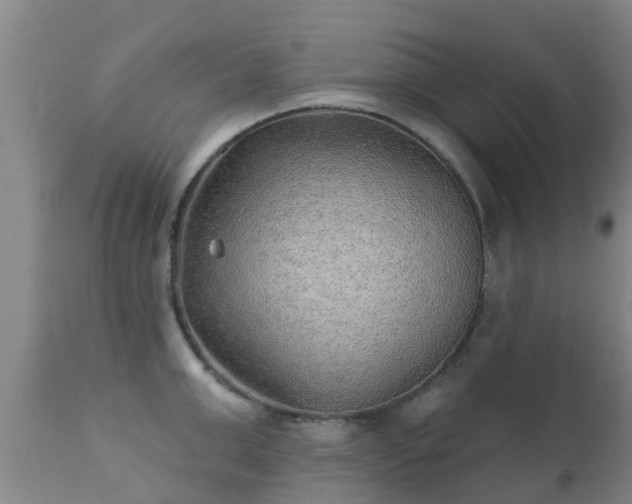 X0000112420999200908211141