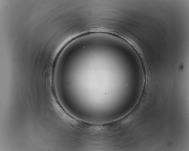 X0000112421000200908211141