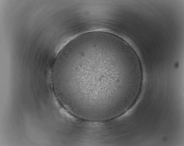 X0000112421001200908211141